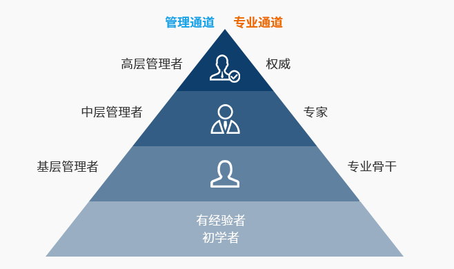 内部精准2码料